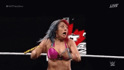 Roundhouse Kick Mickie James GIF