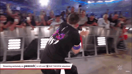 Roundhouse Kick WWE GIF