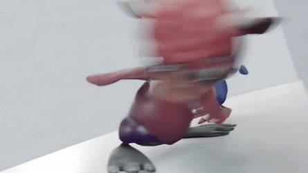 Roundhouse Kicker Animals GIF