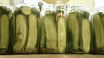 Row Of Jars Filled With Pickles GIF