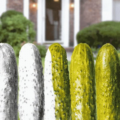 Row Of Pickles On Fence With House GIF