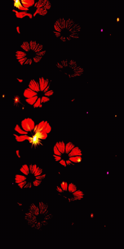 Row Of Red Flowers With Star On Black Background GIF