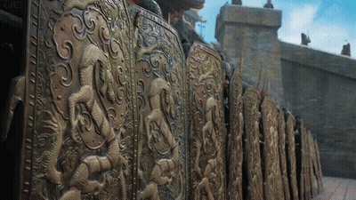 Row Of Shields With Dragons GIF