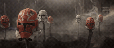 Row Of Storm Trooper Helmets On Sticks GIF