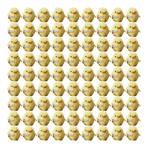 Row Of Stuffed Chickens With C Sticker