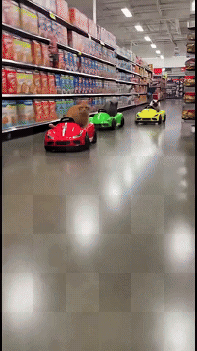 Row Of Toy Cars Driving Down Store Aisle GIF
