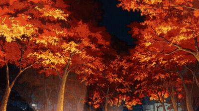 Row of Trees With Red Leaves Lit Up at Night