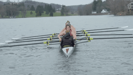 Rowing Fast Machine Form Work GIF