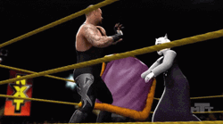 Royal Rumble Video Game GIF
