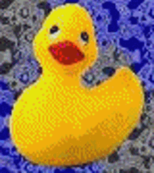 Rubber Duck In Flashing Colors GIF