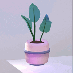 Rubber Plant Spinning Slowly