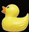 Rubber Toy Duck Spinning  GIF