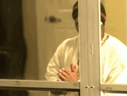 rubbing-hands-bird-man-9moq6yvkpu5t6i8b.gif