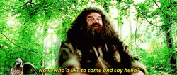 Rubeus Hagrid And Hippogriff GIF
