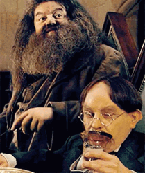 Rubeus Hagrid And  GIF