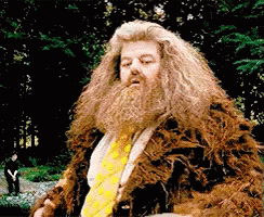 Rubeus Hagrid And Rock GIF