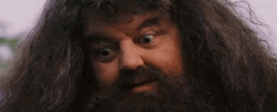 Rubeus Hagrid Blinking Eye GIF