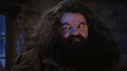 Rubeus Hagrid Doppelganger GIF