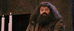 Rubeus Hagrid Happy Clapping GIF