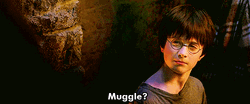 Rubeus Hagrid Muggle GIF