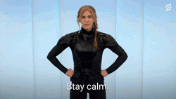 Rubie Hunger Games Stay Calm GIF