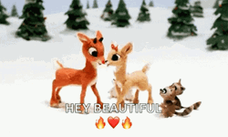 Rudolph And Clarice Sweet Moment GIF
