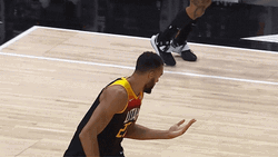 Rudy Gobert Looking At Lefty Hand GIF