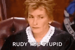 Rudy You Stupid GIF