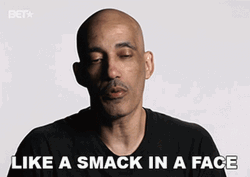 Ruff Ryder Like A Smack In Face GIF