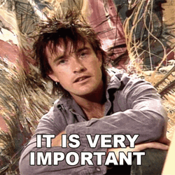 Rugged Haired Man Important GIF