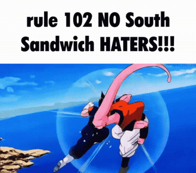 Rule 102 No South Sandwich Haters On Blue And White Background GIF