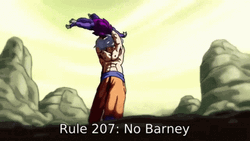 Rule 207 No Barney Meme GIF