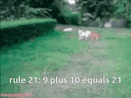 Rule 21 : 9 Plus 10 Equals 21 Is Written In White Letters GIF