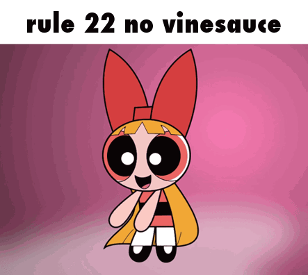 Rule 22 No Vinesauce With A Picture Of Blossom GIF