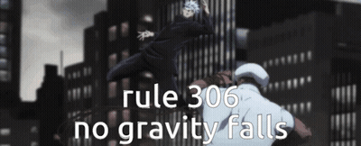 Rule 306 No Gravity Falls Is Written On A Poster With Two Men Fighting Each Other . GIF