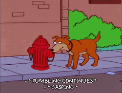 Rumbling Continues Dog Runs GIF