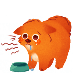 Rumbling Hungry Cat GIF