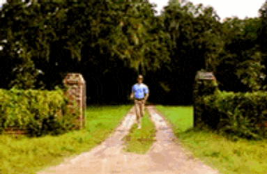 Run Forest Run GIF