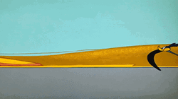 Run Looney Tunes Sam Sheepdog  GIF