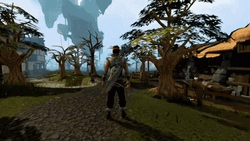 Runescape Character View GIF