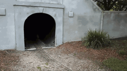 Running Away From Train Tunnel GIF