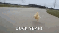 Running Duck Yeah