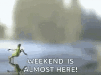 Running Frog Weekend Meme GIF