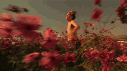 Running Leonardo DiCaprio Flower Garden GIF