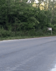 Running Man Long Distance Nature Run GIF