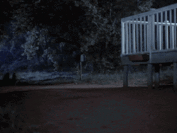 Running Wolves With Red Eyes GIF