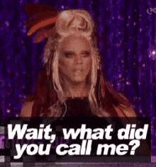Rupaul Drag Queen What Did You Call Me GIF