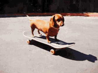 Rupert Gnar GIF
