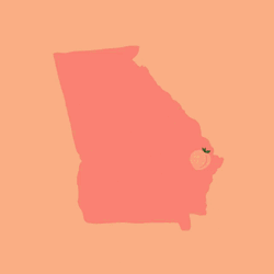 Rural Black Georgia Vote Matter GIF