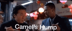 Rush Hour Camel's Hump GIF
